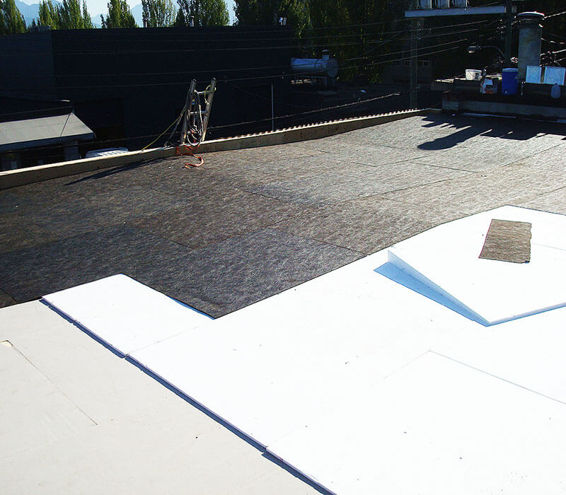 New-Flat-Roof-Collection - Flat-Roofing-Vancouver-5.jpg